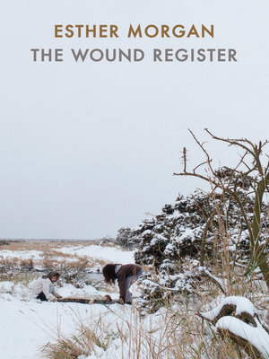 cover image of The Wound Register